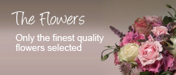 The Flowers, only the finest quality flowers selected for Weddings, Conferences and Funerals